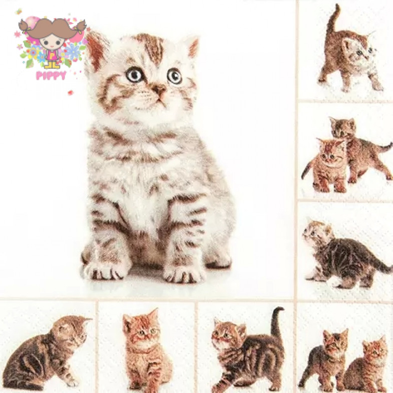 HOME FASHION ランチサイズペーパーナプキン☆かわいい子猫 キャット (Meow)☆（20枚入り）